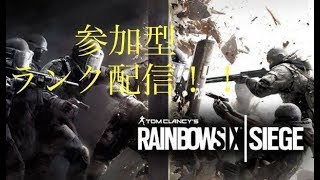 レインボーシックスシージ　pc参加型ランク配信  ゴルシル帯