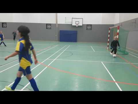 VFL PINNEBERG 1.D-MÄD. 15. Januar 2017