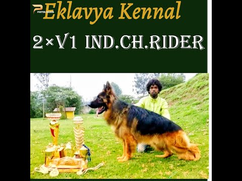 EKLAVYA KENNEL 2×V1 IND.CH.RIDER
