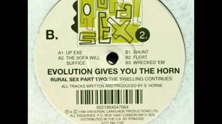 Rural Sex - Shunt (vinyl)