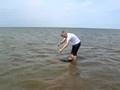 Barney S 1st Swim