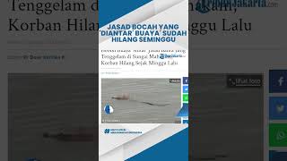 Terbaru, Buaya 'Antar' Jasad Balita yang Tenggelam di Sungai Mahakam, Korban Hilang Sudah Seminggu