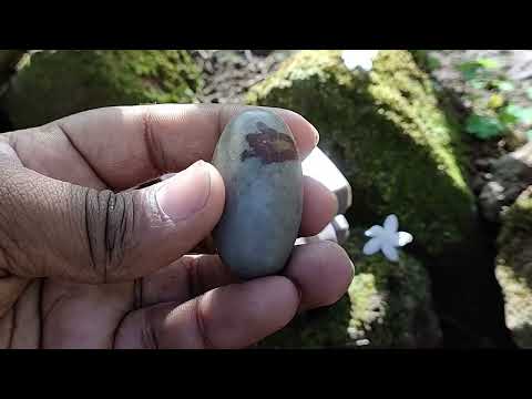 Vasuki Mahadeva Nandikeshvara Natural Shivalingum Shivpuja set video