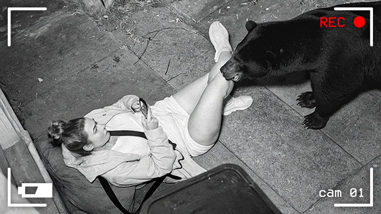 75 НЕВЕРОЯТНЫХ МОМЕНТОВ, СНЯТЫХ НА ЗАДНЕМ ДВОРЕ