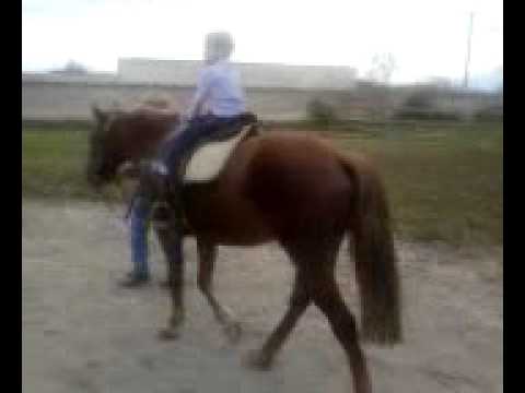 melchiade  o ballariel