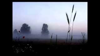 Pink Martini   Lullaby