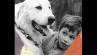 Belle &amp; Sébastien L&#39;oiseau