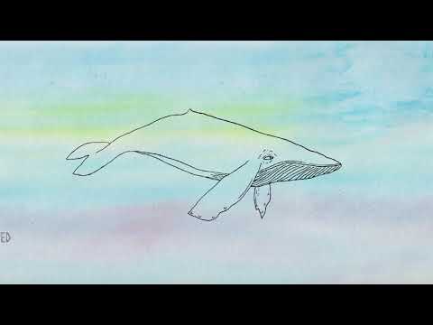 Homechestra - Fear Too Near