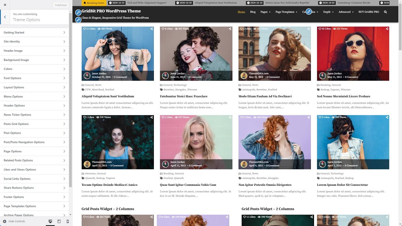 Customizer Theme Options - GridBit PRO WordPress Theme