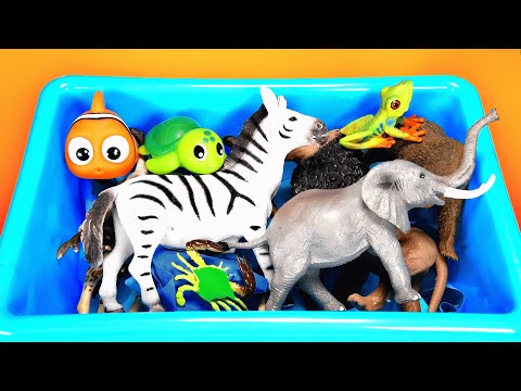Safari Dioramas for Zoo Animal Figurines - Learn Animal Names