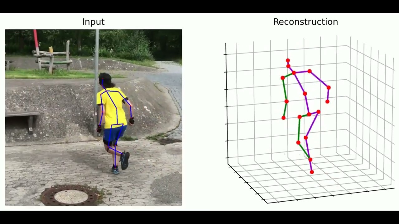 DTF: Enhancing 3D Human Pose Estimation Amidst Severe Occlusion with Dual Transformer Fusion