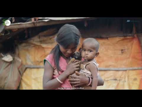 Mission Urja Green Power for Tribes – A CSR Initiative by Netcracker & TREEI Foundation