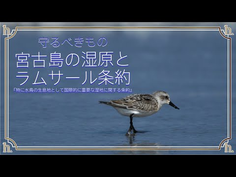 オードマロワ湿地 - 定義