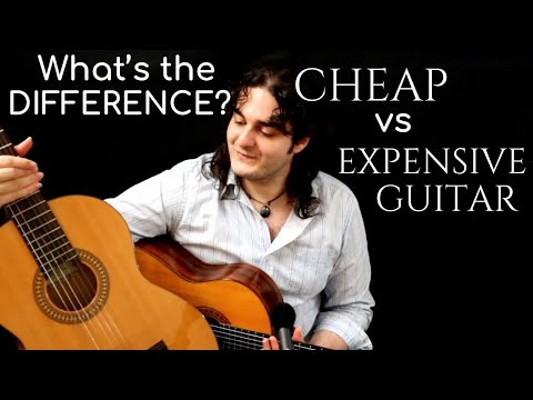 CHEAP vs EXPENSIVE GUITAR. WHAT'S THE DIFFERENCE?