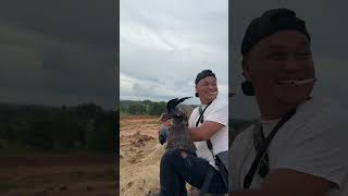 Download lagu Melajari Elang BK skill soar ngeri2 sedap #alapalap #elang #soaringeagle mp3