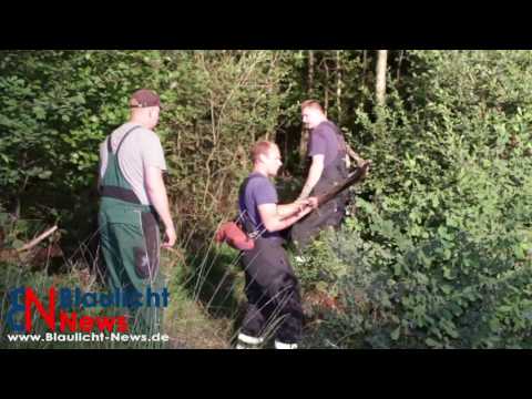 24 07 2016 Zwei Pferde im Moor versunken