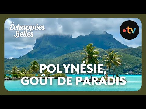 Polynésie, un goût de paradis - Échappées belles