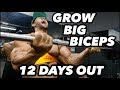 BODYBUILDING MOTIVATION - REGAN GRIMES 12 DAYS OUT