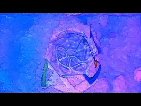 Ozric Tentacles - The Edge Of A Cloud - Rare And Unreleased