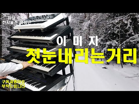 첫눈내리는거리.이미자/#전자올겐유창근/디스코 경음악/지루박/트로트/음악영상제작.