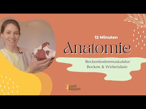 Anatomie Beckenbodenmuskulatur, Becken & Wirbelsäule