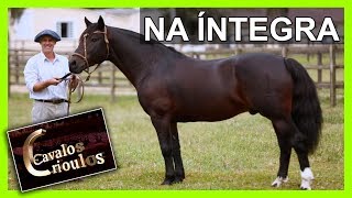 Miniatura do vídeo