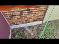 Some Ants Trailing on the Outside of the Home in West Windsor, NJ