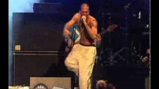 Presentación - Calle 13 en el Vive Latino 2010 - Pa'l norte