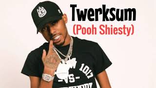 Twerksum - Pooh Shiesty (Official Audio)
