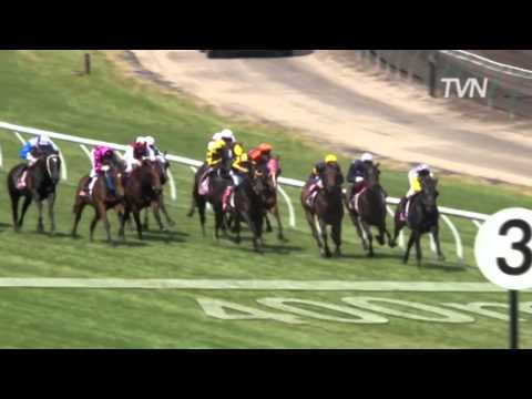2009 Emirates Stakes -  All American