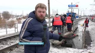Без шанса выжить: в Кукуштане легковушка попала под поезд