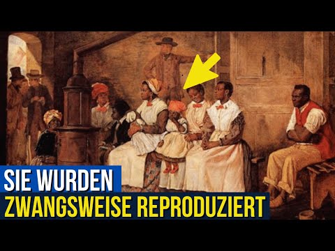 Sklavenzuchtbetriebe: Was man Ihnen nie gesagt hat