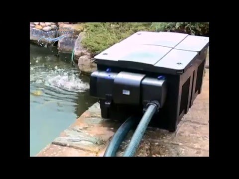 Ультрафиолетовый стерилизатор Oase Bitron C