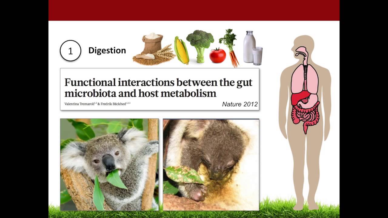 Ancient Oral Microbiomes and Human Health - YouTube
