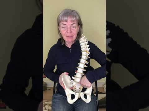 Sacrum the sacred bone