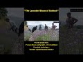 EBNW Story 9 Video thumbnail