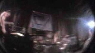 These Arms Are Snakes