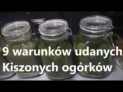 , title : '9 warunków idealnych ogórków Kiszonych.'