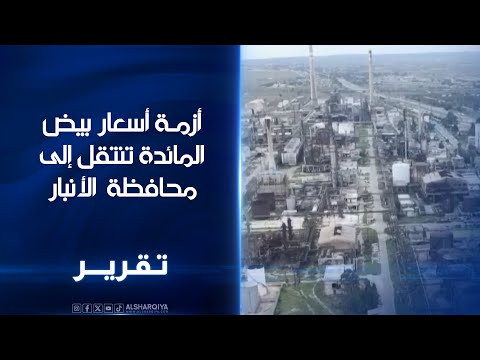 فيديو | البيض في بغداد 3 بألف وفي الأنبار كل "4 بألف" ومسوقون يدعون لفتح الاستيراد بضوابط مشددة