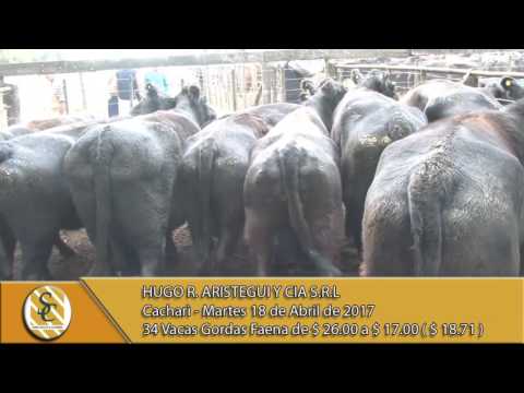 18-04-17 Venta de Vacas Gordas - Hugo R. Aristegui y Cia S.R.L. - Cacharì.