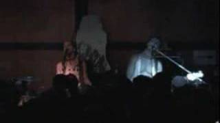 Sleepytime Gorilla Museum - Sleep is Wrong