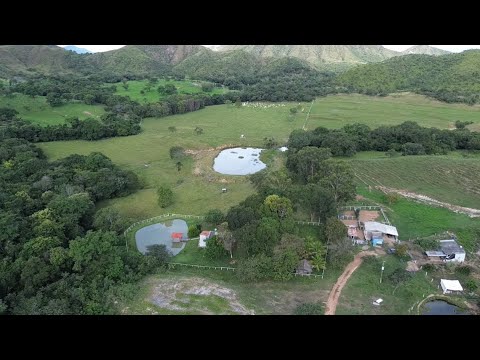 FAZENDA DE 45 ALQUEIRES 🌾💰 Valor: R$ 4.950.000,00📍 Vila Propício – GO | Região de Barro Alto