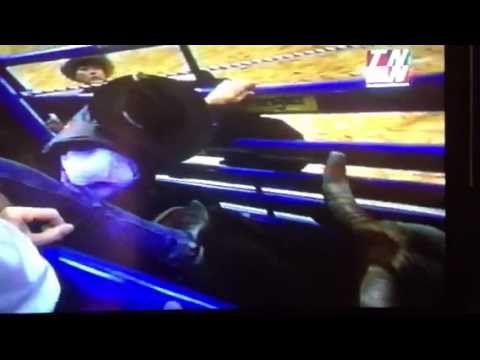 Bad Bull Profile #301 Sports Machine