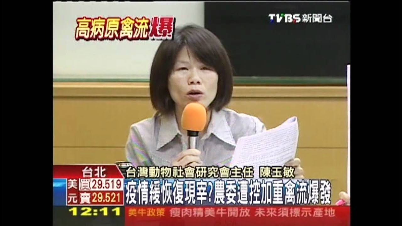 疫情緩恢復現宰？　農委遭控加重禽流爆發
