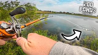 Fishing An OVERGROWN Pond For GIANT BASS! (200 Ponds Ep. 32)