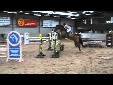 Lightning Del Verdi 115 cm Jumping Cavaro
