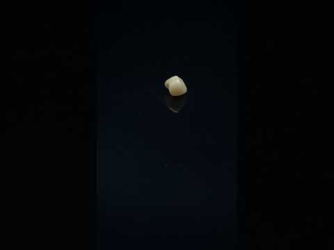 YouTube 썸네일