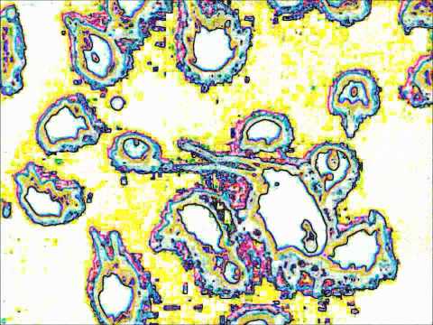 GREAT CHARITY SHOP FINDS No 42 - GROOVY JAZZ