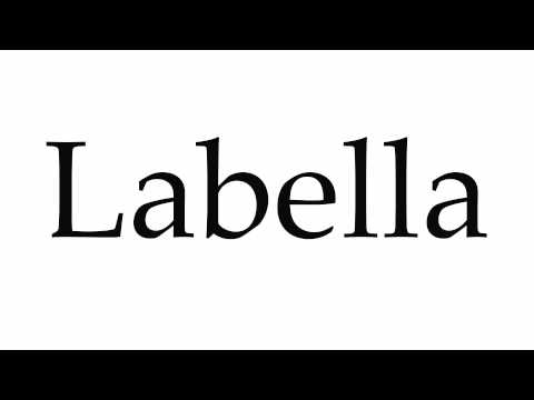 How to Pronounce Labella