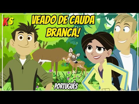 Aventura com os kratts - Venho amigo - NOVO episódio - português - completo - kratts series